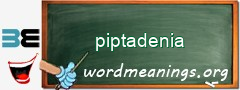 WordMeaning blackboard for piptadenia